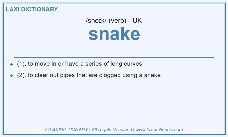 Definition snake in British English
