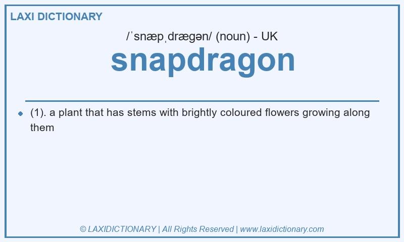 Definition snapdragon in British English