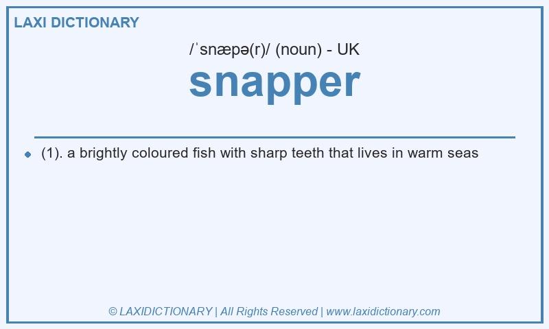Definition snapper in British English