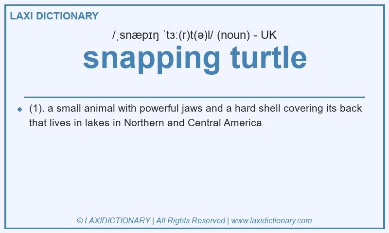 Definition snapping turtle in British English