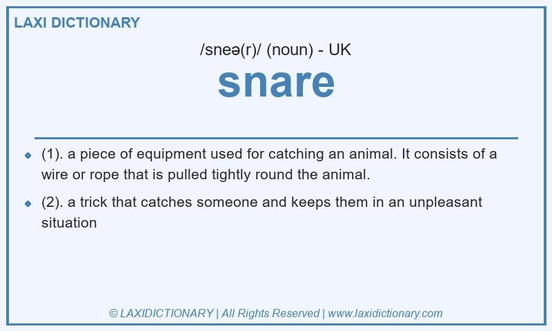 Definition snare in British English