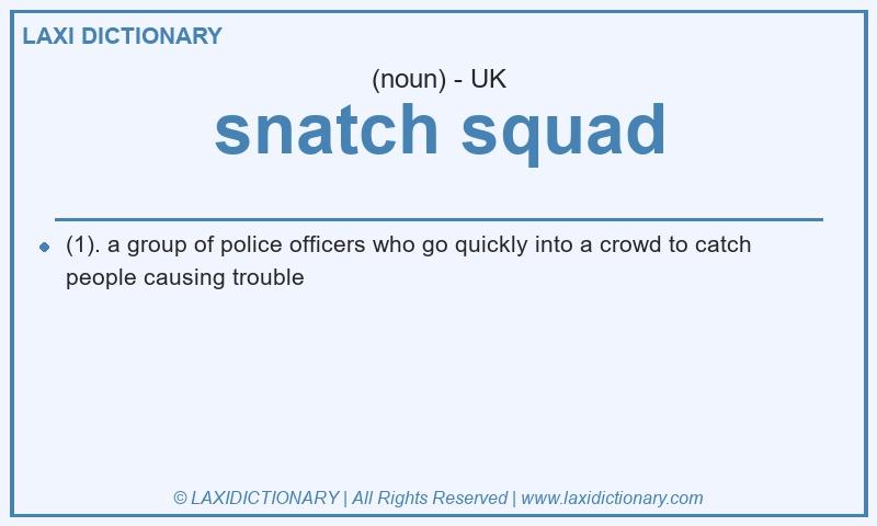 Definition snatch squad in British English
