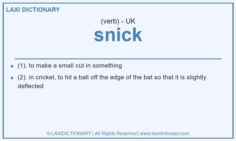 Definition snick in British English