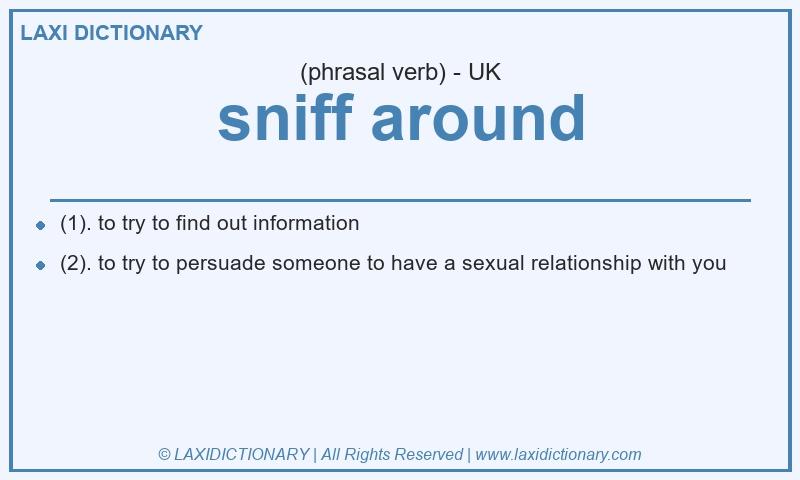 Definition sniff around in British English