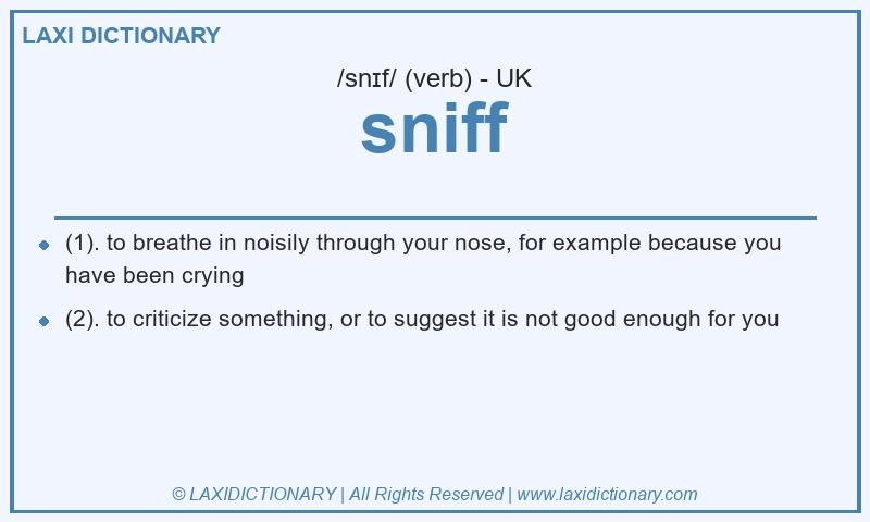 Definition sniff in British English