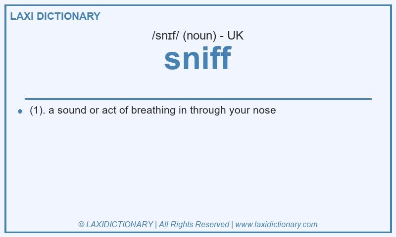 Definition sniff in British English