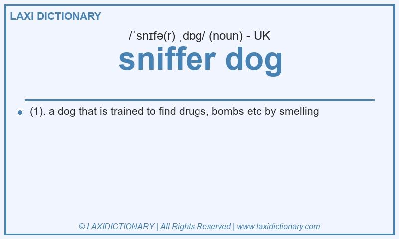 Definition sniffer dog in British English