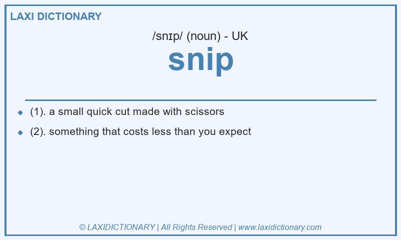 Definition snip in British English