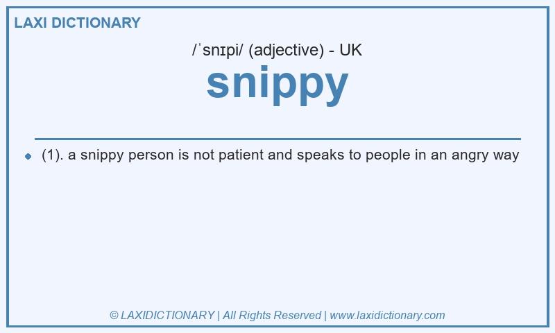 Definition snippy in British English