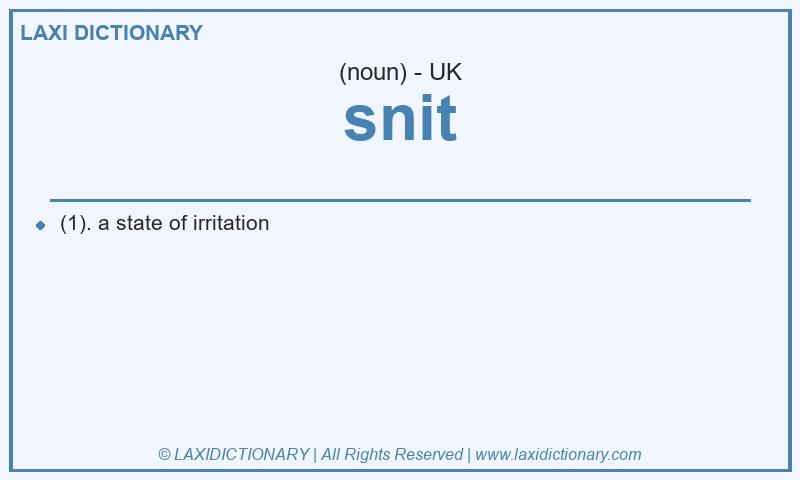 Definition snit in British English