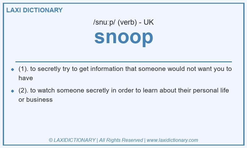 Definition snoop in British English