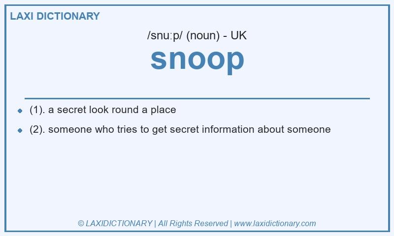 Definition snoop in British English