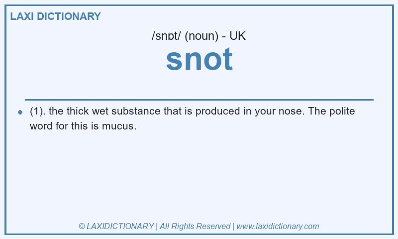 Definition snot in British English