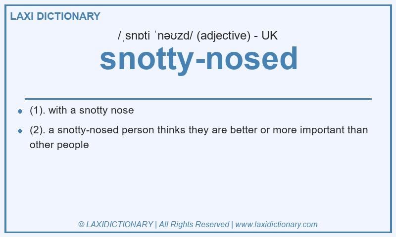 Definition snotty-nosed in British English