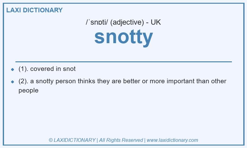Definition snotty in British English