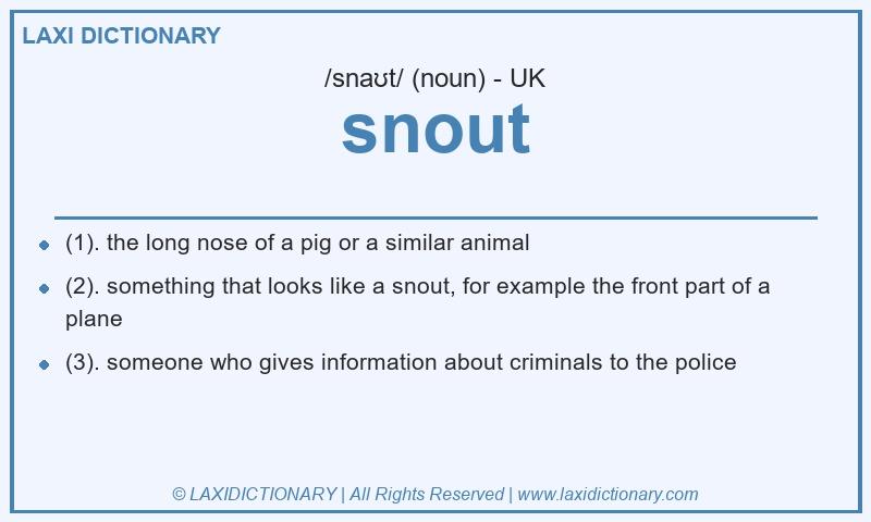 Definition snout in British English