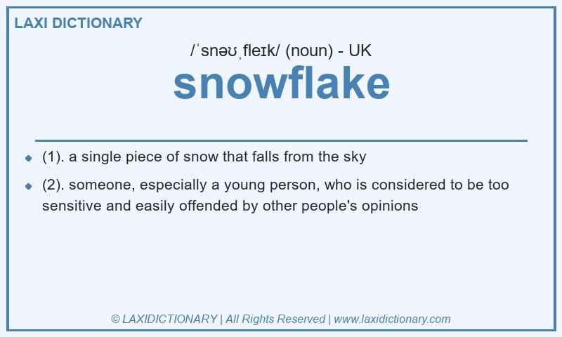 Definition snowflake in British English