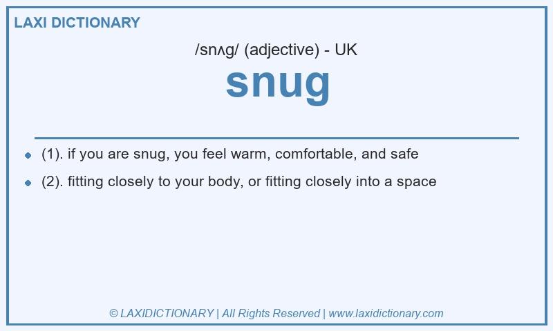 Definition snug in British English