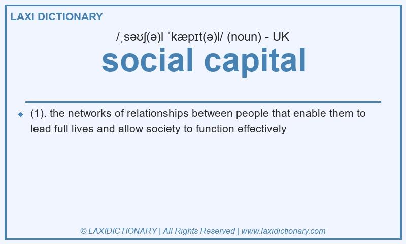 Definition social capital in British English