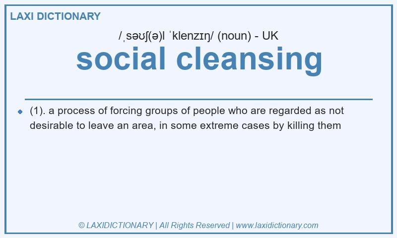 Definition social cleansing in British English