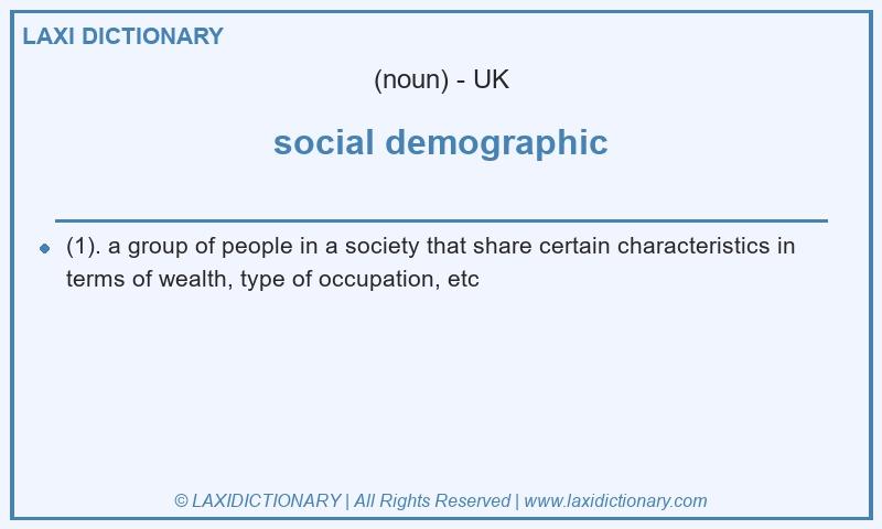 Definition social demographic in British English