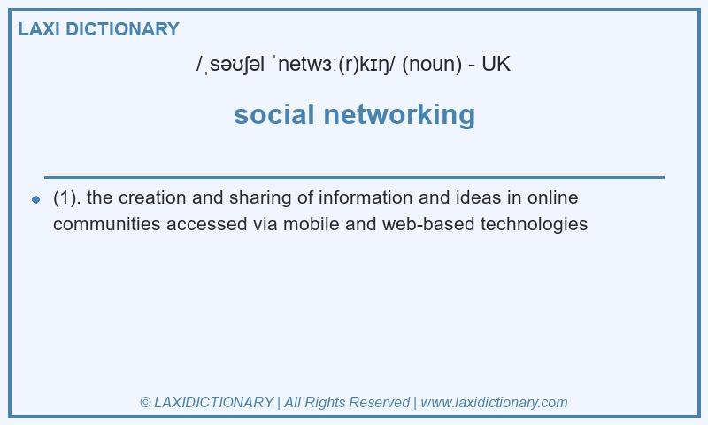 Definition social networking in British English