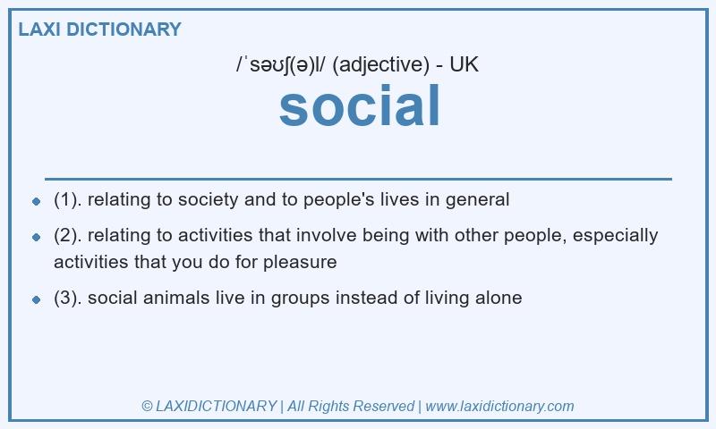 Definition social in British English