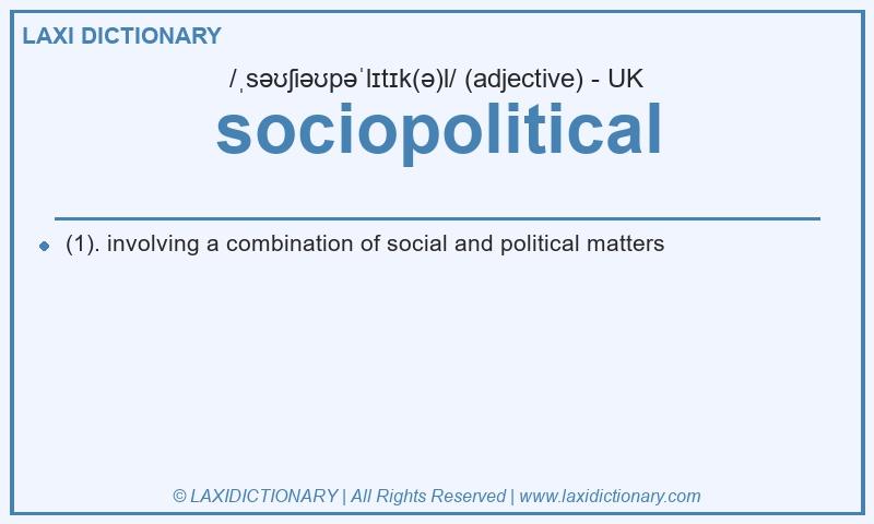 Definition sociopolitical in British English