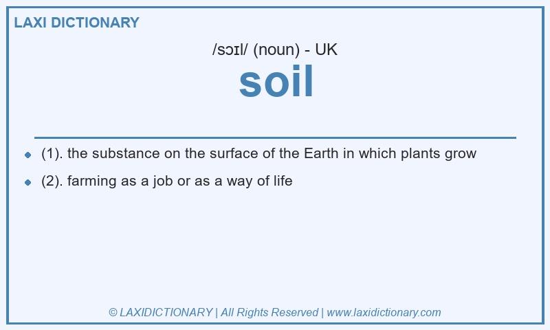 Definition soil in British English