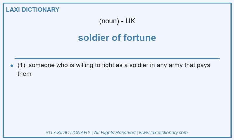 Definition soldier of fortune in British English