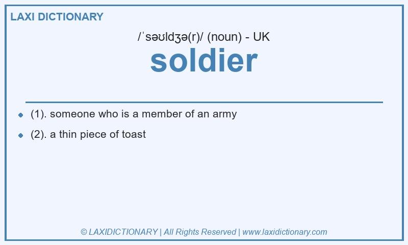 Definition soldier in British English