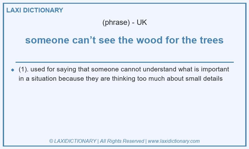 Definition someone can’t see the wood for the trees in British English