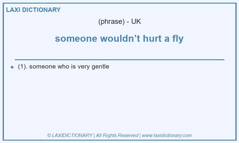 Definition someone wouldn’t hurt a fly in British English