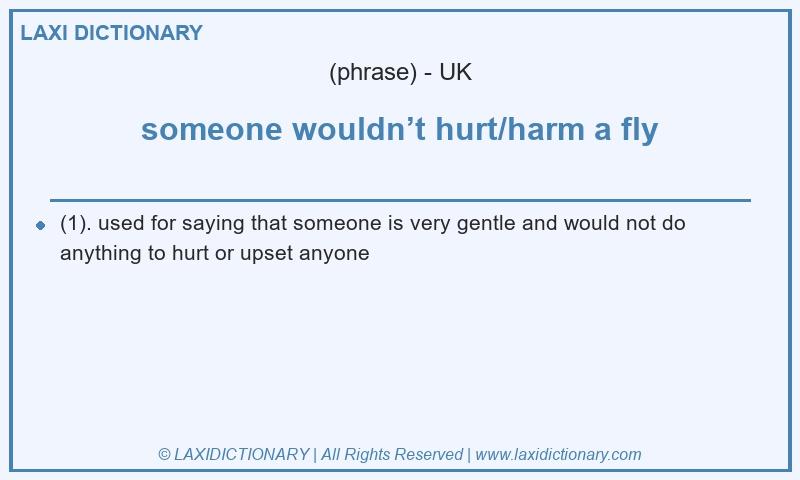 Definition someone wouldn’t hurt/harm a fly in British English