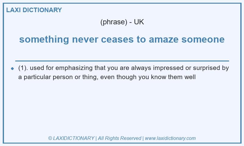 Definition something never ceases to amaze someone in British English