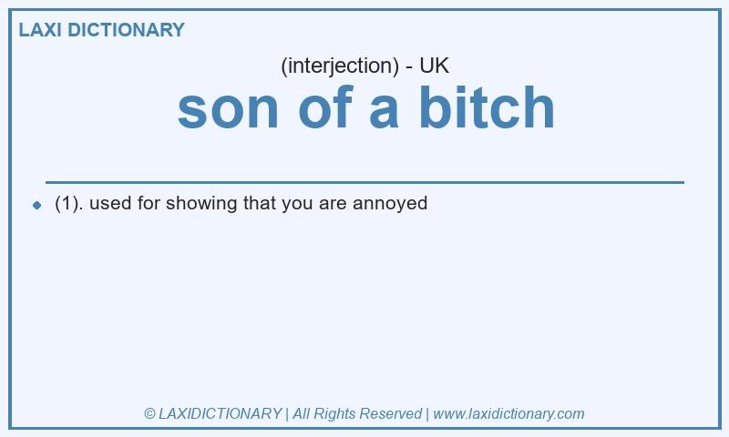 Definition son of a bitch in British English