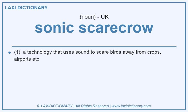 Definition sonic scarecrow in British English
