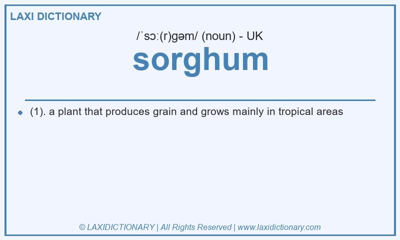 Definition sorghum in British English