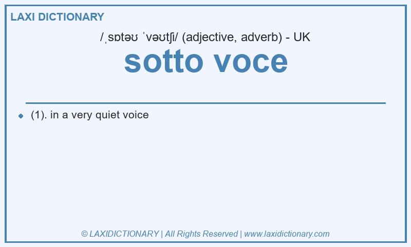 Definition sotto voce in British English