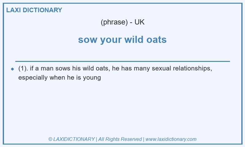 Definition sow your wild oats in British English