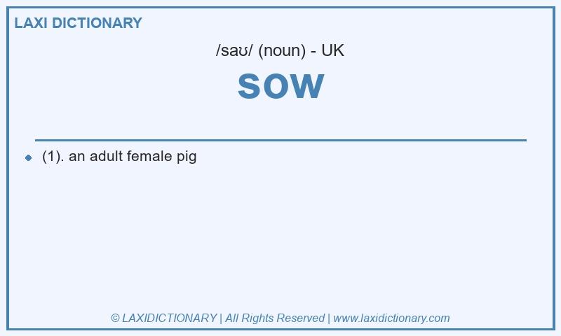 Definition sow in British English