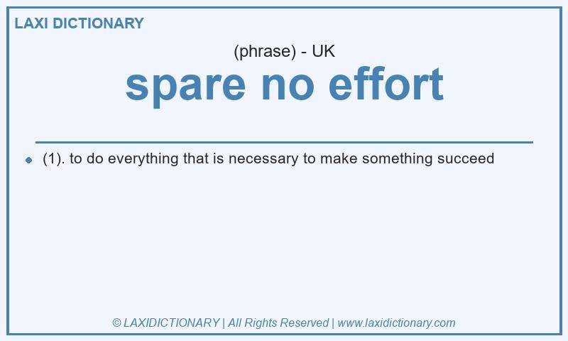 Definition spare no effort in British English