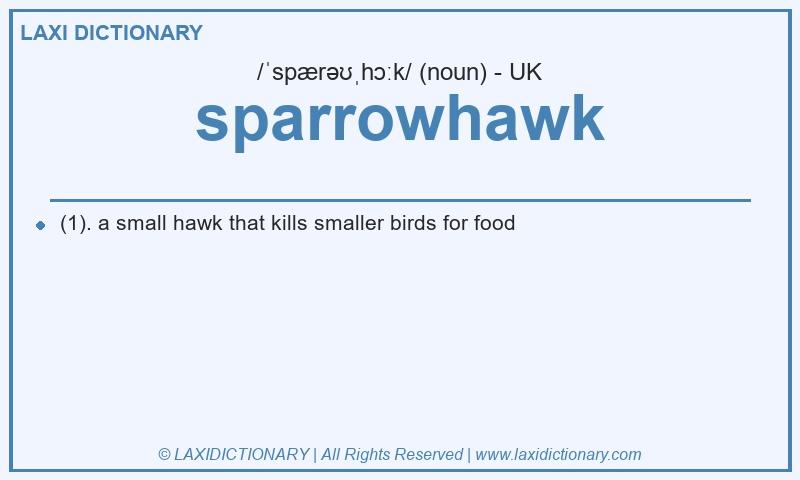 Definition sparrowhawk in British English