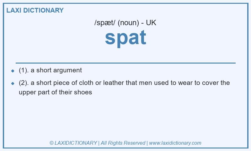 Definition spat in British English