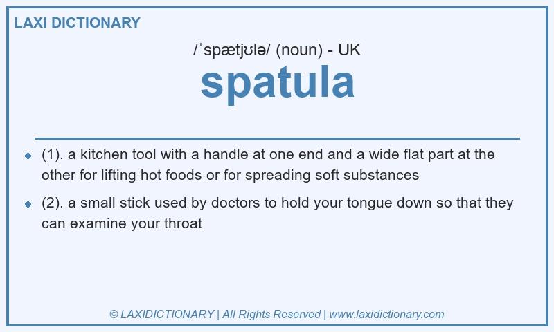 Definition spatula in British English