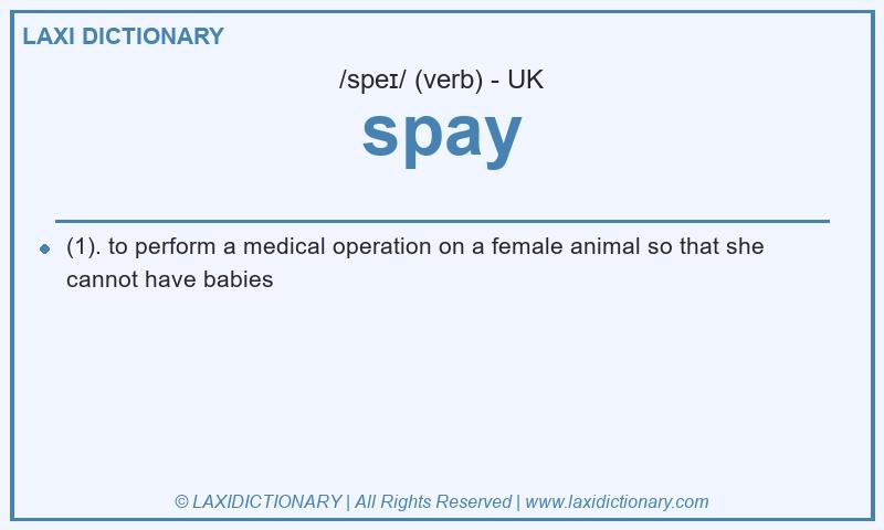 Definition spay in British English