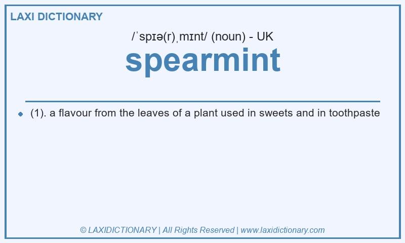 Definition spearmint in British English