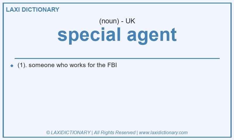 Definition special agent in British English