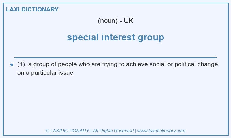 Definition special interest group in British English