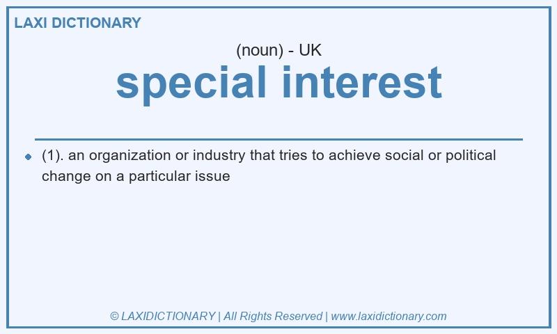 Definition special interest in British English